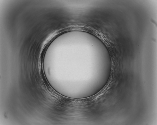 X0000096960294200802080906