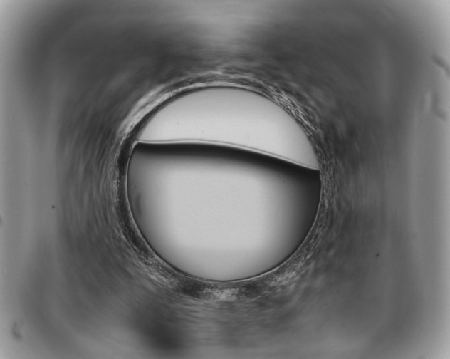 X0000096960295200802080906