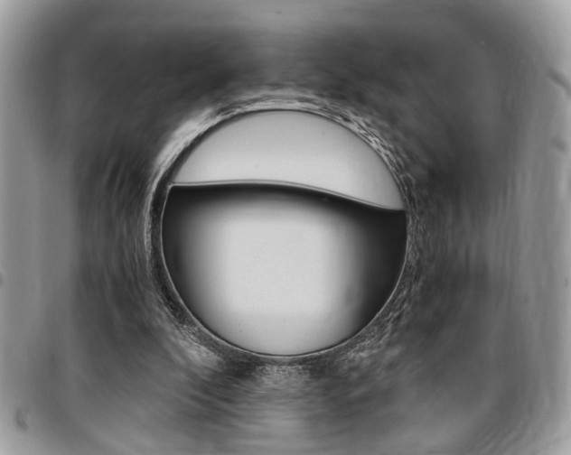 X0000096960296200802080906