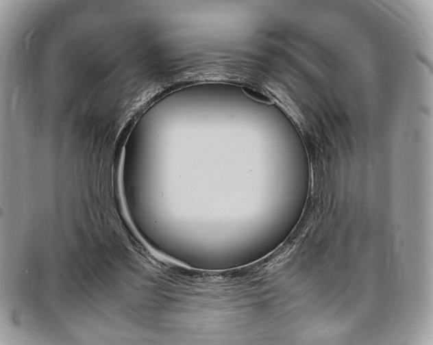 X0000096960301200802080906