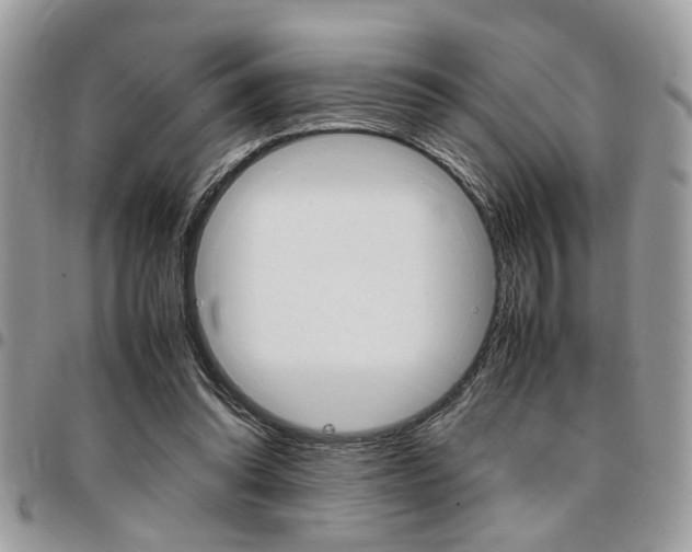 X0000096960302200802080906