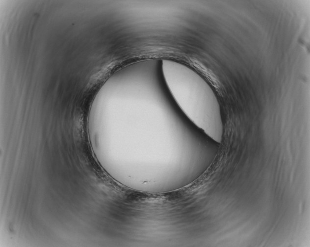 X0000096960306200802080906