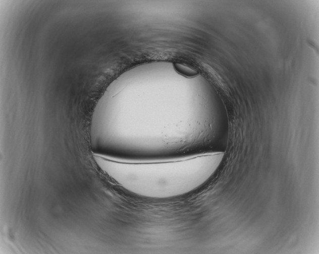 X0000096960307200802080906