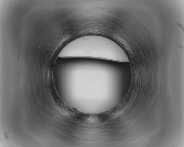X0000096960308200802080906