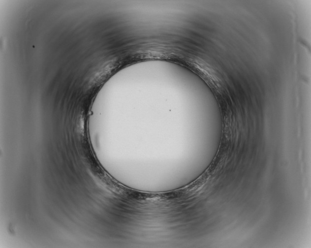 X0000096960310200802080906