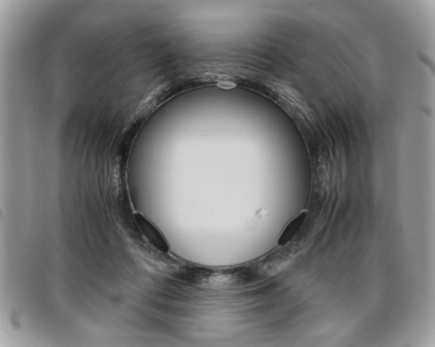 X0000096960312200802080906