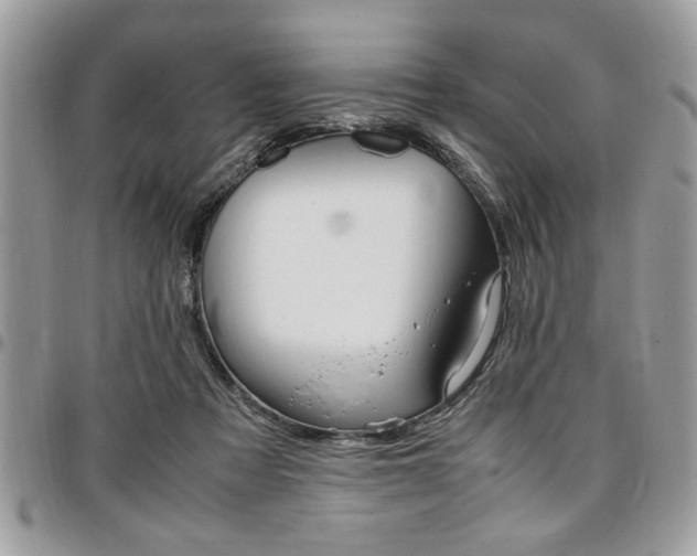 X0000096960313200802080906
