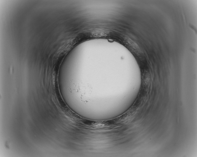 X0000096960315200802080906