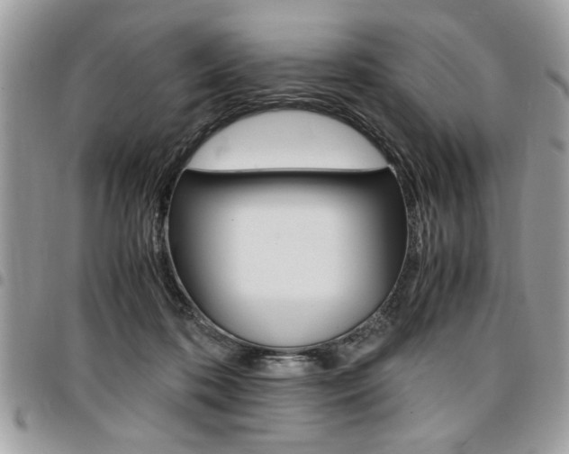 X0000096960316200802080906