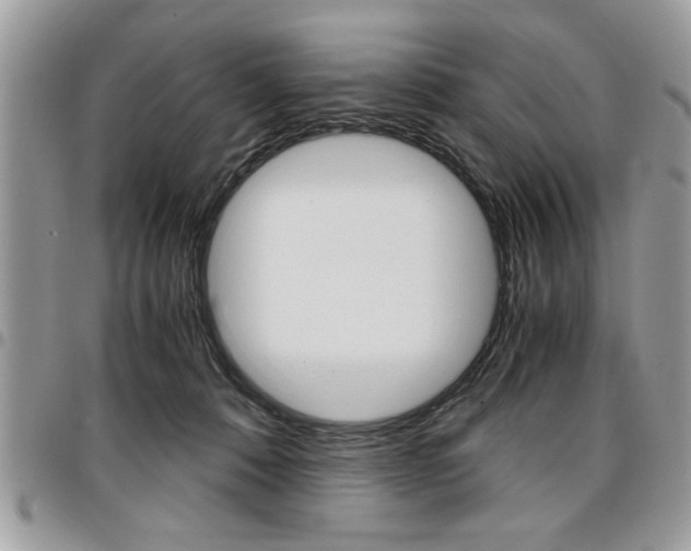 X0000096960320200802080905