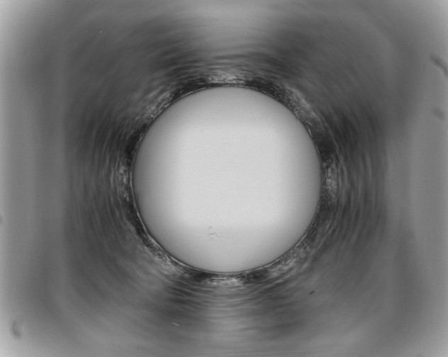 X0000096960322200802080905