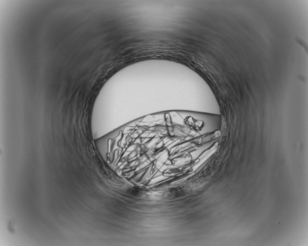 X0000096960323200802080905