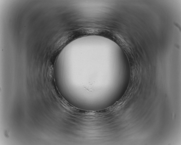 X0000096960325200802080905