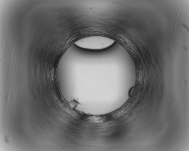 X0000096960326200802080905
