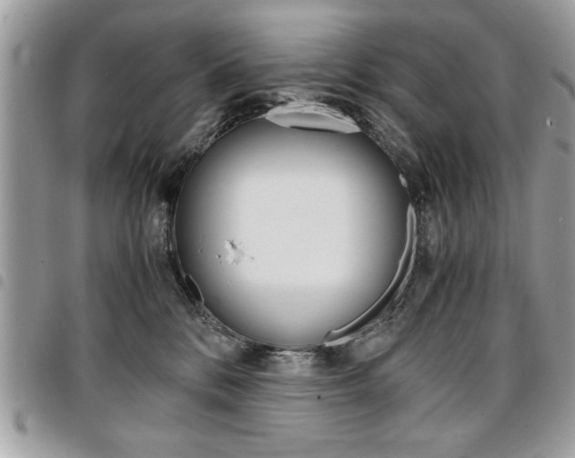 X0000096960328200802080905