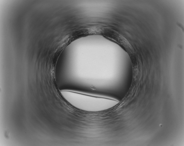 X0000096960329200802080905