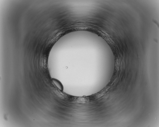 X0000096960330200802080905