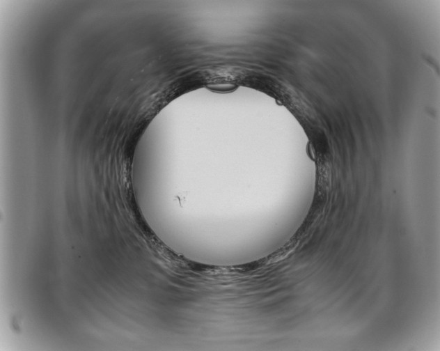 X0000096960331200802080905
