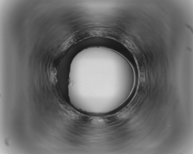 X0000096960332200802080905