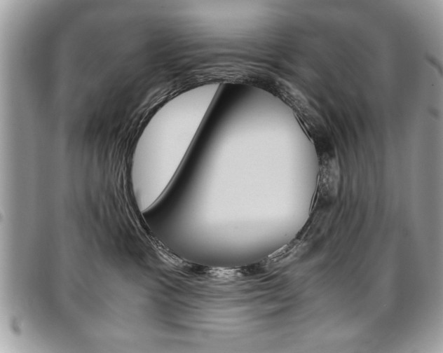X0000096960333200802080905