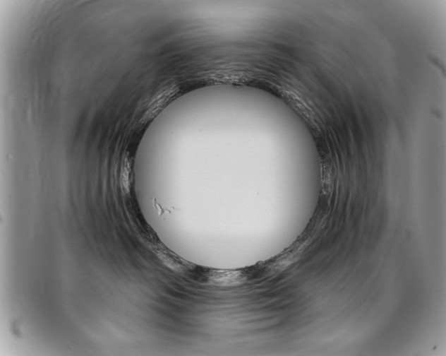 X0000096960334200802080905