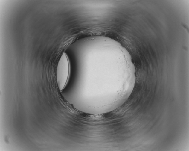 X0000096960335200802080905