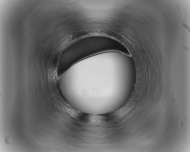 X0000096960336200802080905