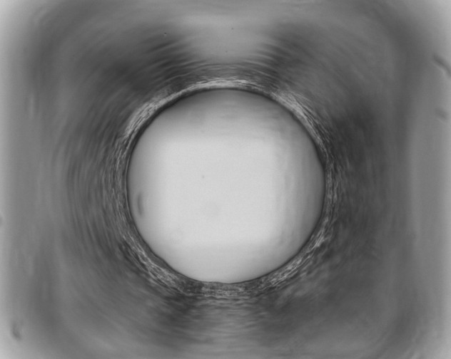 X0000096960337200802080904