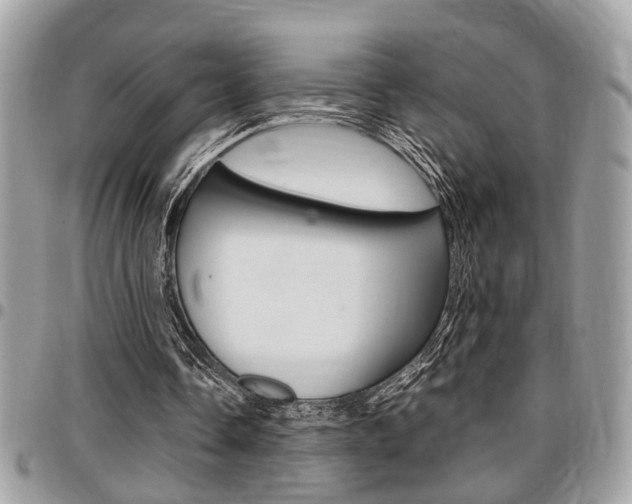 X0000096960338200802080904