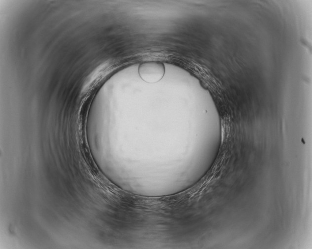 X0000096960339200802080904