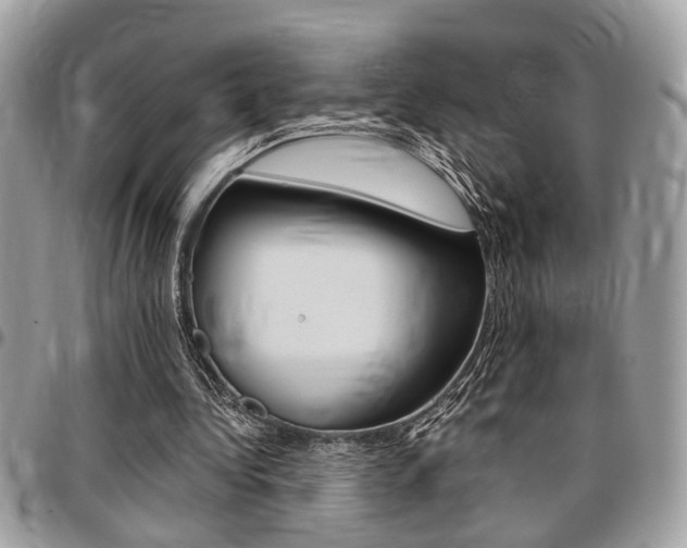 X0000096960340200802080904