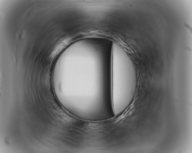 X0000096960341200802080904