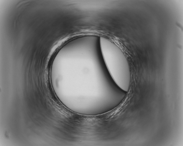 X0000096960342200802080905