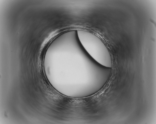 X0000096960343200802080905