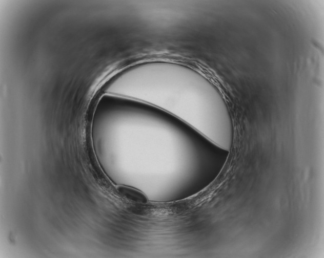 X0000096960344200802080905