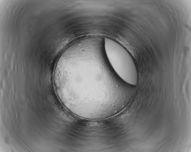 X0000096960347200802080905