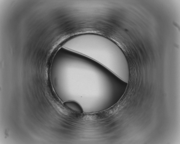 X0000096960350200802080905