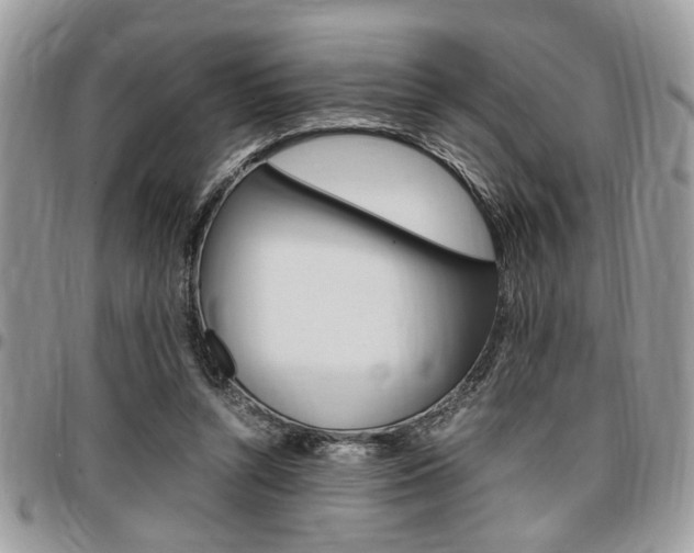 X0000096960352200802080905