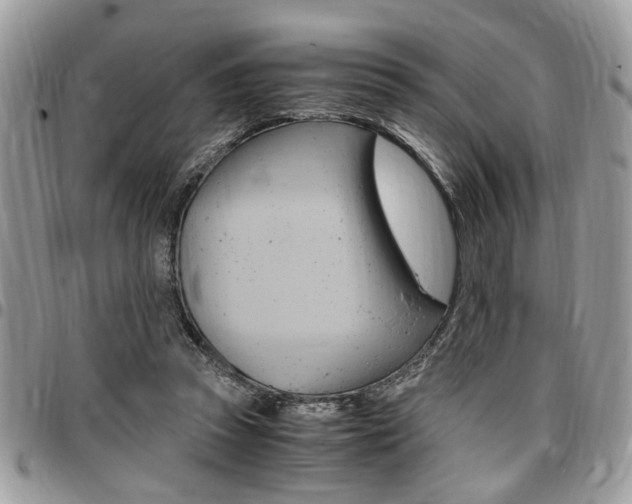 X0000096960353200802080905