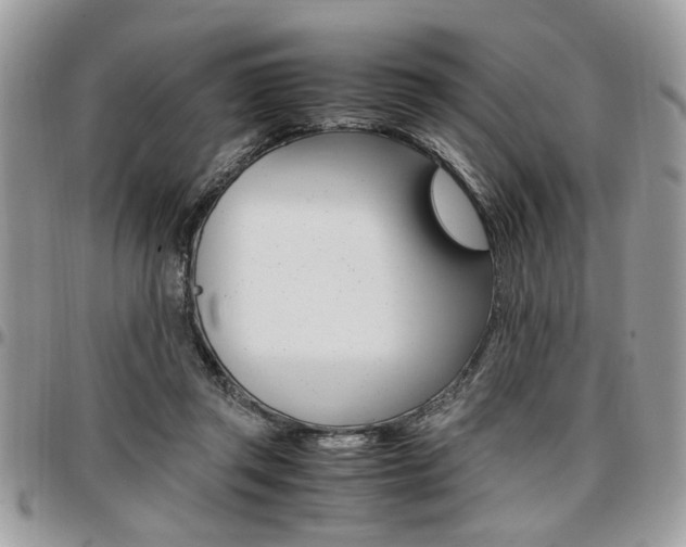 X0000096960357200802080905