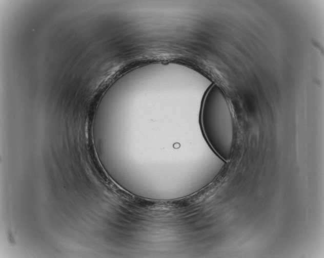 X0000096960358200802080905