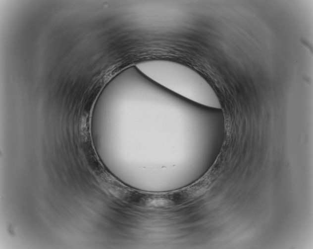 X0000096960360200802080905