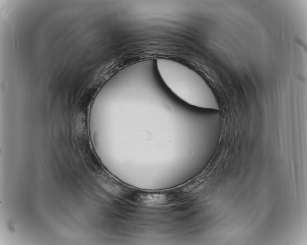 X0000096960361200802080905