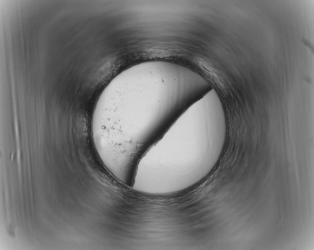 X0000096960362200802080905