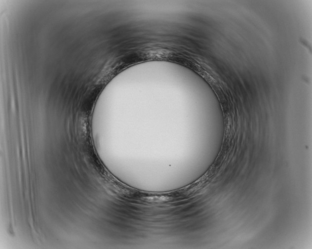 X0000096960363200802080905