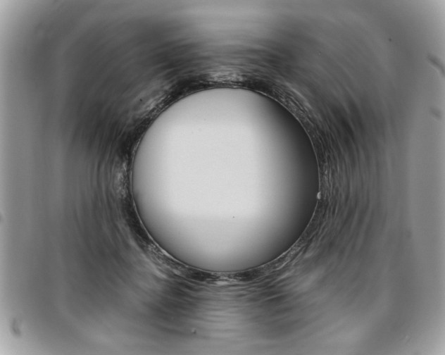 X0000096960364200802080905