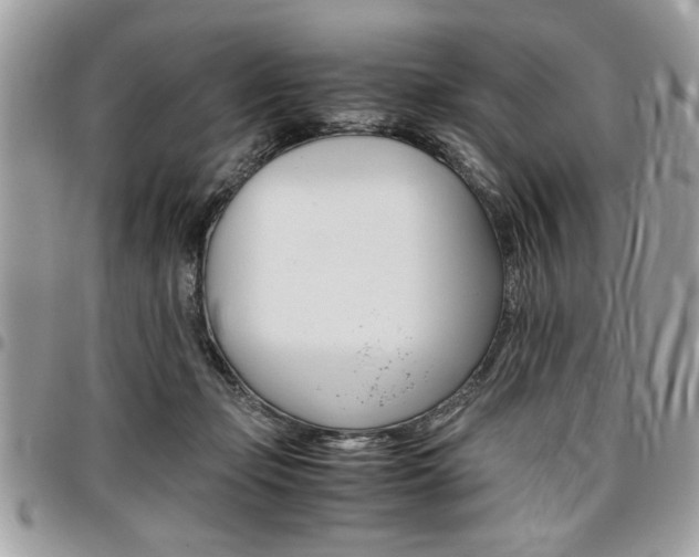 X0000096960365200802080905