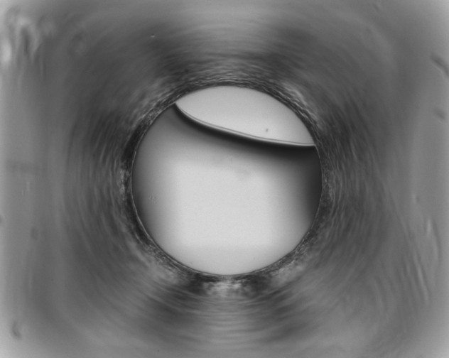 X0000096960366200802080905