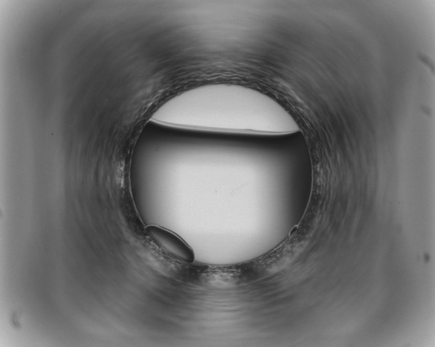 X0000096960368200802080905