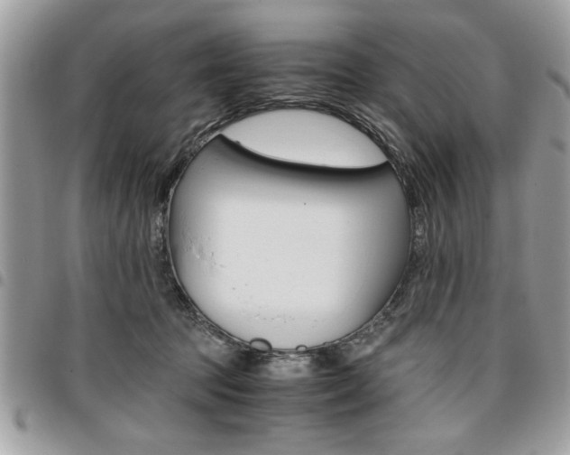 X0000096960369200802080905
